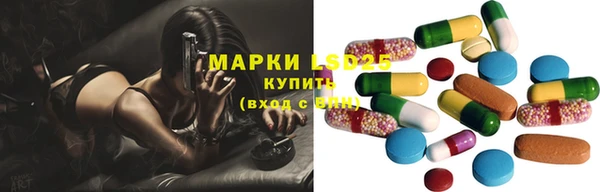 ПСИЛОЦИБИНОВЫЕ ГРИБЫ Армянск