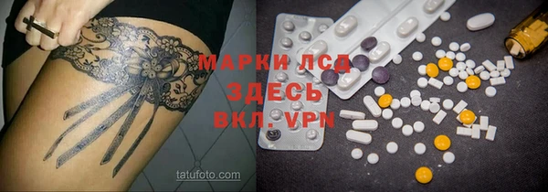 мяу мяу мука Арсеньев